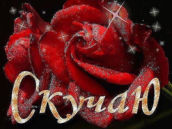 Цветы с надписью скучаю