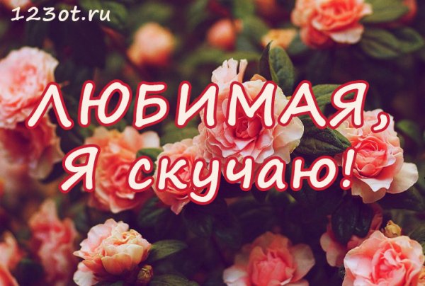 Цветы с запиской