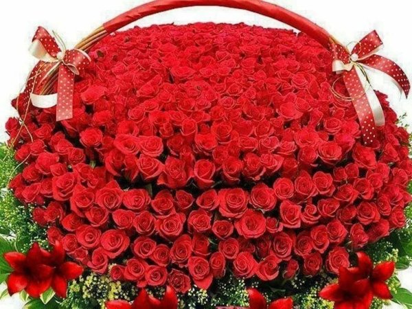 Цветы поздравления