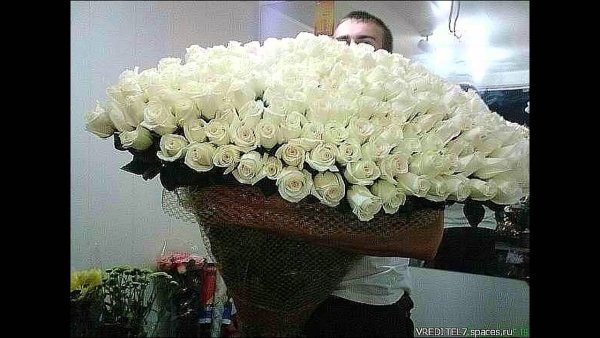 Белые розы для мамы