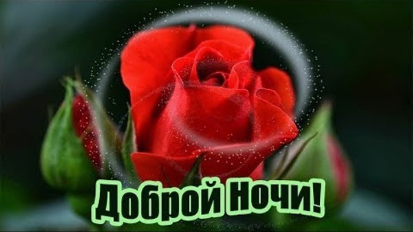 Спокойной ночи красивых снов летние