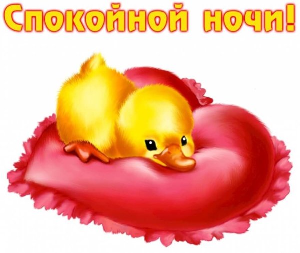 Спокойной ночи сладких снов