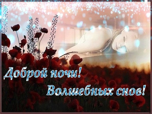 Спокойной ночи мишка