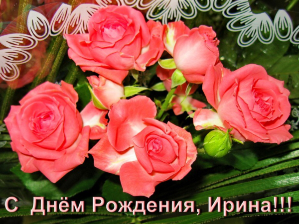 Цветы для Ирочки самые красивые