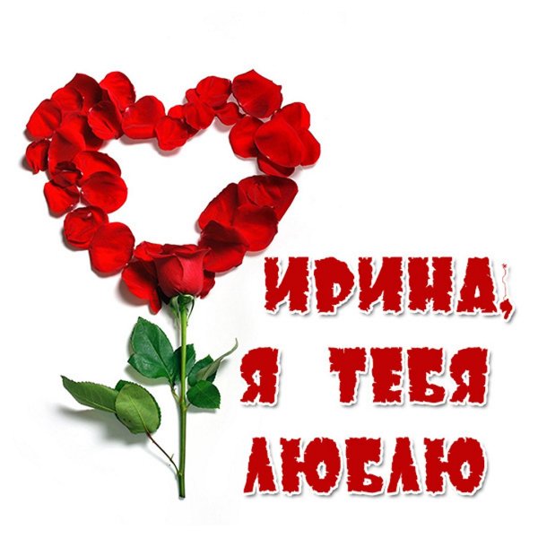Самые красивые цветы букеты с добрым утром