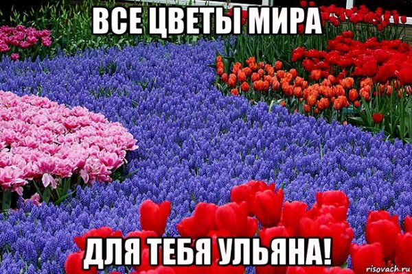 Все цветы мира для тебя