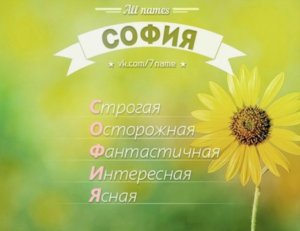 Красивый букет роз