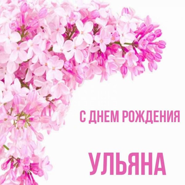 Красивая букет розы с надписью