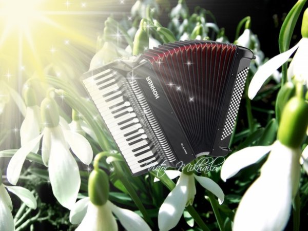 Рамки с аккордеоном