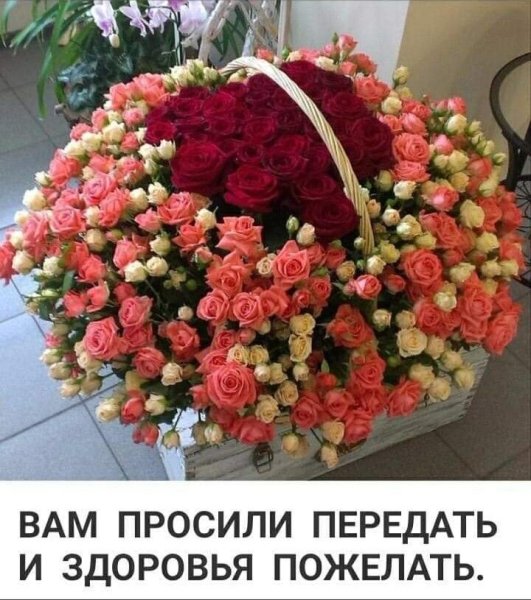 Самый роскошный букет