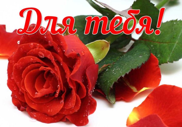 Красивые комплименты