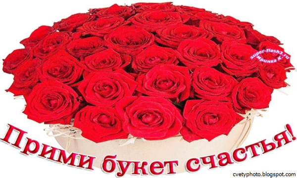 Розы с комплиментами
