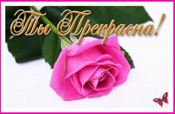 Цветы с комплиментами для девушки