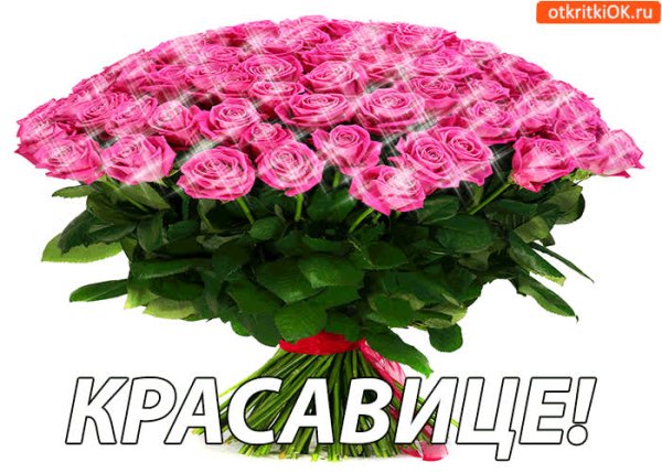 Цветы для красавицы