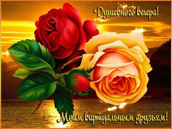 Добрый вечер красивые
