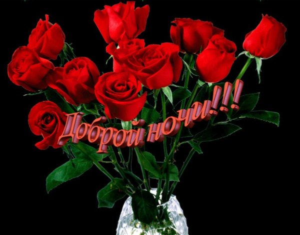 Букет цветов спокойной ночи
