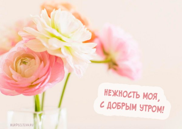 Доброе утро моя принцесса