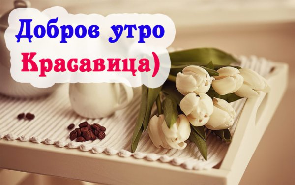 С добрым утром девушке прикольные