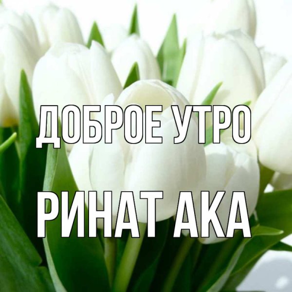 Доброе утро красавица