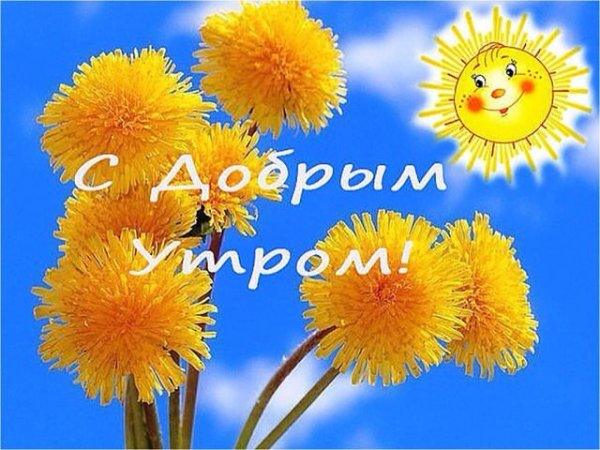 Открытки доброе утро с одуванчиками