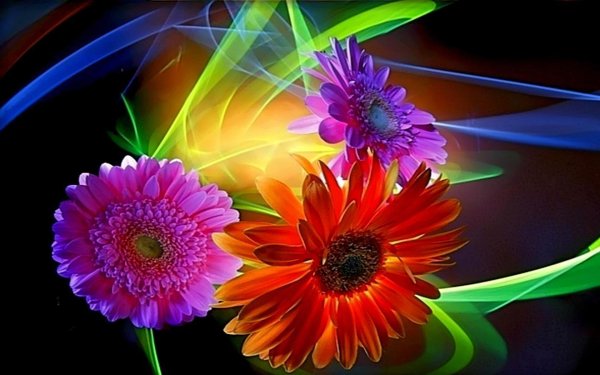 Цветы. 3 D