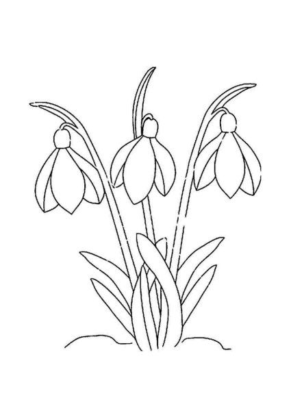 Рисунок пейзаж с первоцветами на столе