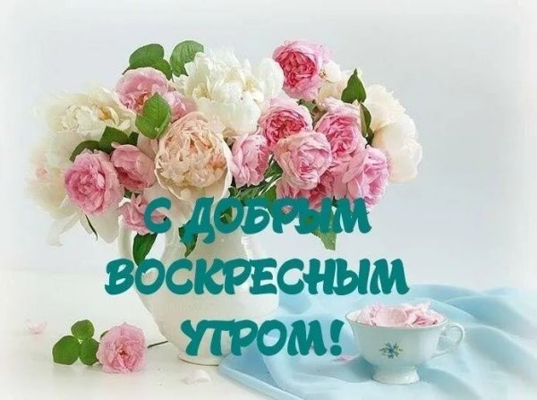 С добрым воскресным утром