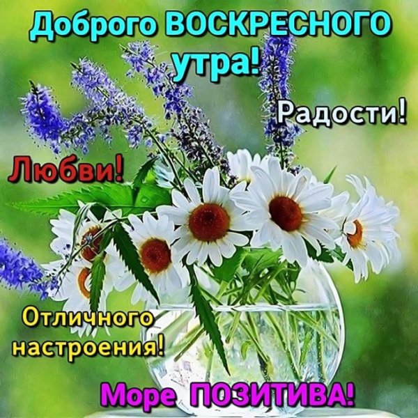 Открытки с добрым воскресным утром