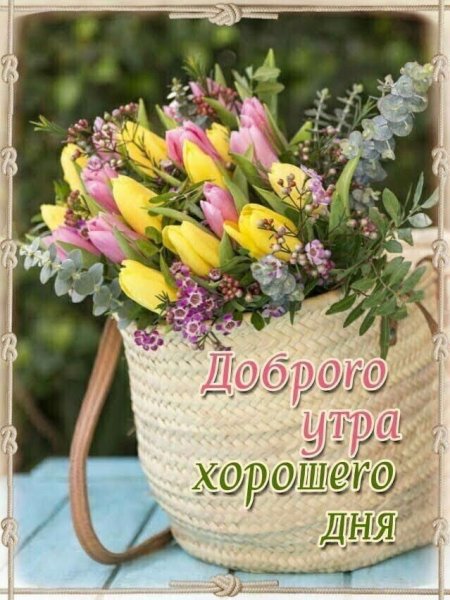 Солнечного утра и хорошего настроения