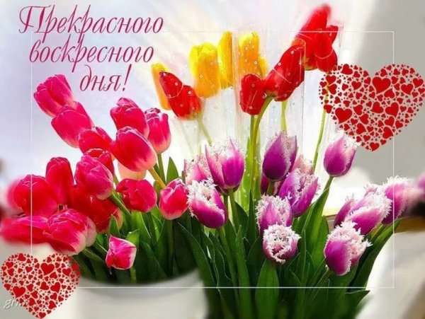 С добрым воскресным утром