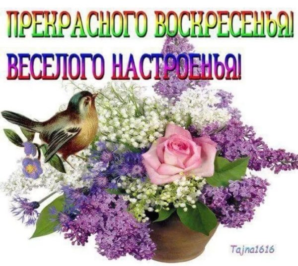 Доброго воскресного дня