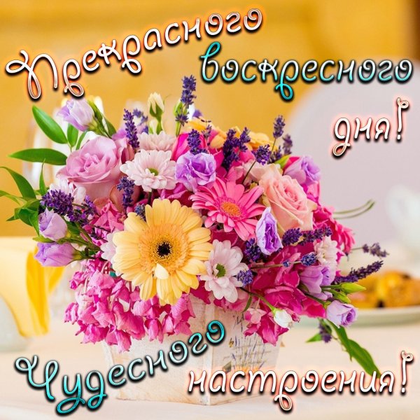 Доброе утро цитаты