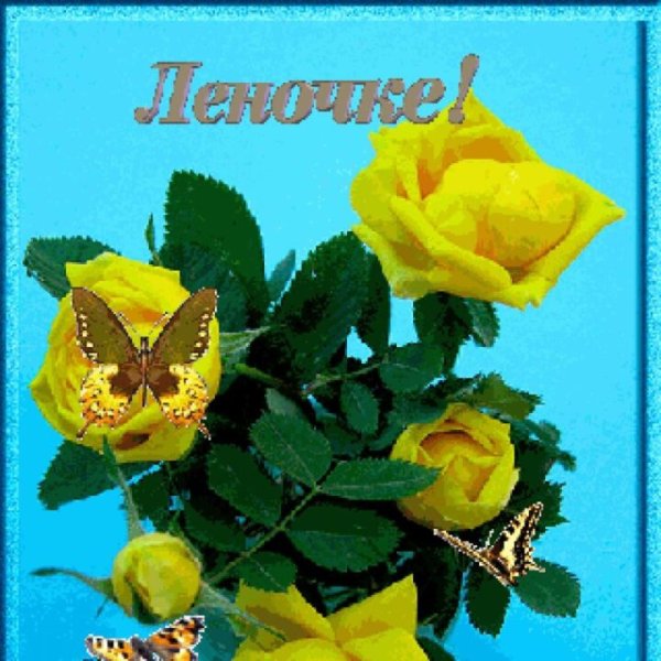С днём рождения Леночка