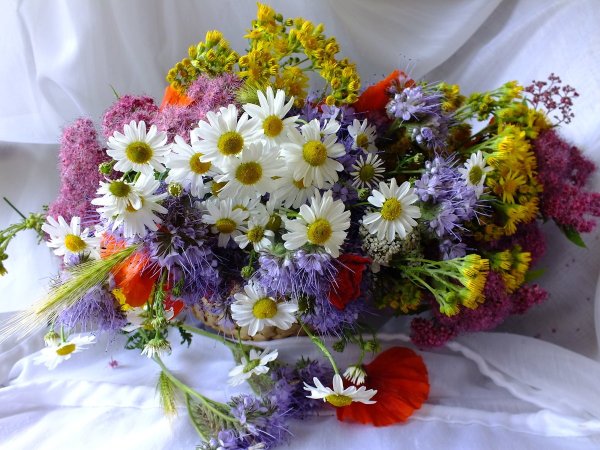 Мастерица Екатерина Звержанская