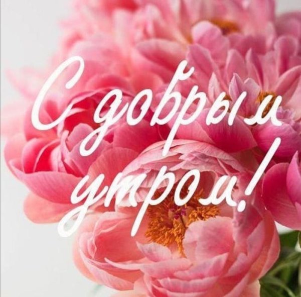 Доброе утро пионы пожелания