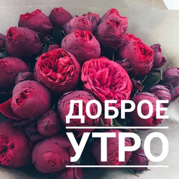 Букет пионов для тебя