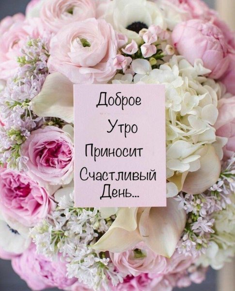 Стильные поздравления с добрым утром