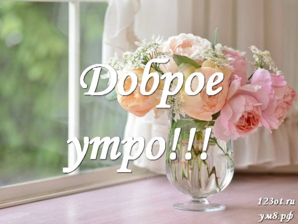 Доброе утро пионы