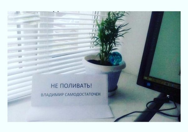 Сорняк карикатура