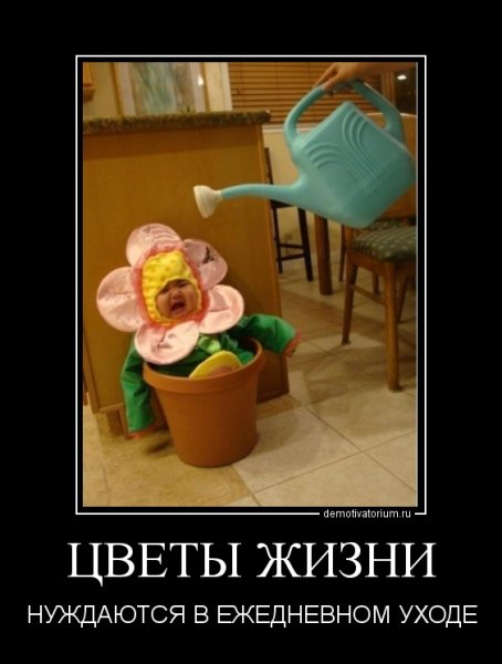 Росток и лейка