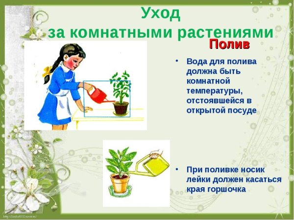 Цветоводство в саду