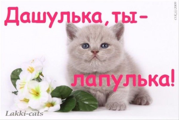 Пожелания на день рождения