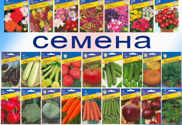 Семена овощей