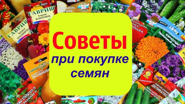 Большое поступление семян