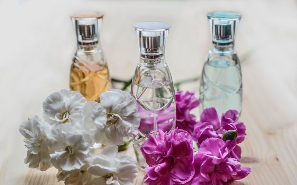 Gucci Bloom 100 ml