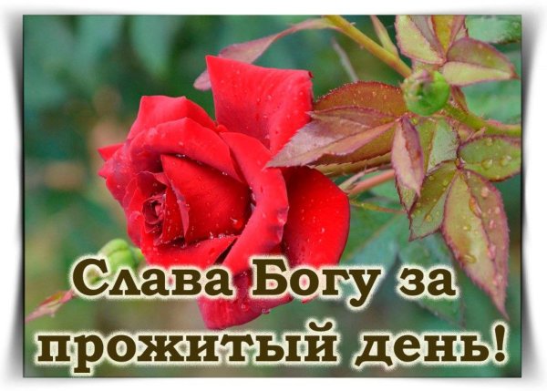 Слава Богу
