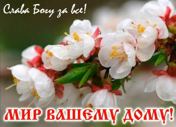 Слава Богу за новый день