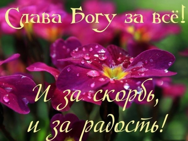 Слава Богу за скорбь и радость