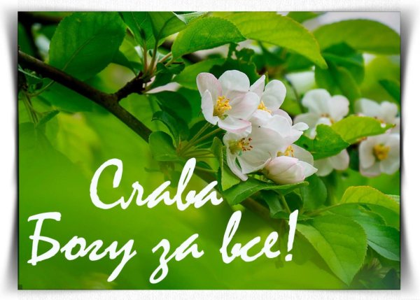 Слава Богу гифка