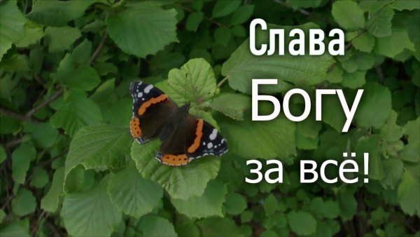 Слава Богу
